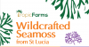 Sea moss wildcrafted