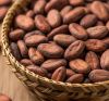cocoa beans