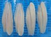 Pangasius Fillets