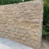 Tiger skin Yellow cultured stone mushroom surface for garden