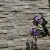 GILT Platinum cultural stone for exterior wall villa ledge stone
