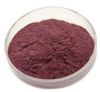 Blueberry fruit powder,Natural fruit and vegetable powder, blueberry anthocyanin