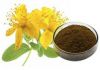 Hypericum Perforatum P.EHypericum perforatum extract 0.3% Hypericin