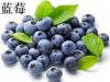 Bilberry Extract powder