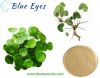 High Purity Madecassoside Supplier Organic Centella Asiatica Extract