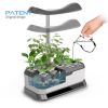 Nuevosun Hydroponics Growing System 12 Pods Indoor Herb Garden Plant Germination Kit with LED Grow Light, Pump, Auto-Timer Smart Garden, Height Up to 23.6", Gardening Gift for All Grower