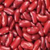 PREMIUM HIGH-PROTEIN RED KIDNEY BEANS