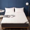 Latex Thickened Mattress