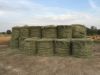 Rhode Grass (Alfalfa Hay)