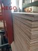 Bintangor Faced Commercial Plywood