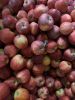 Apples from Poland