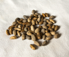 Biomass olive pits / o...