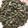 Top Grade Agricultural product Snow White Dried Pumpkin Seeds In Shell