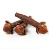 Natural Dried Cloves Spice with Best Price