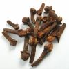 Natural Dried Cloves Spice with Best Price