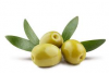 100% Fresh OLIVES In Wholesale Best Price