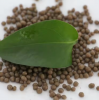 Wholesale high-quality DAP 64% high-concentration