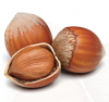 Top Quality Hazelnuts / Hazelnut Nuts in Shell
