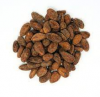 Premium-Quality Dry Cocoa Beans for Baking and Cooking