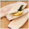 High Quality Fresh Squid Seafood For Sale