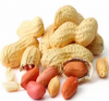 Red Peanuts Kernel / Peanut in Shell