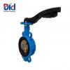 Wholesale manual sanitary flanged butterfly valve cast iron EPDM seat wafer 4" stainless steel manual butterfly valve