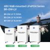 51.2V Solar energy storage system Lifepo4 cell lithium battery pack