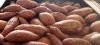 fresh sweet potatoes