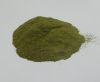 Moringa Powder