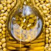 SUNFLOWER OIL / PALM OIL / SOYABEANS OIL / VEGETABLE OIL , KERNEL OIL , CORN OIL 