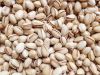 Coffee beans, Sesame Seeds, walnuts ,Hazel Nuts , Cashew Nuts, Almond Nuts,Pistachio Nuts , Macadamia Nuts , Pine Nuts , pecan nuts,