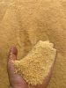 ANIMAL FEED,SOYBEANS MEAL,ALFALFAA HAY,FISH MEAL , FERTILE EGGS , TABLE EGGS ,RICE BRAN , CHICKEN FEED