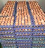 ANIMAL FEED,SOYBEANS MEAL,ALFALFAA HAY,FISH MEAL , FERTILE EGGS , TABLE EGGS ,RICE BRAN , CHICKEN FEED