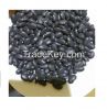 Black Kidney Beans