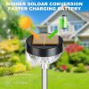 Solar Lawn Light