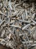 Dried Anchovies