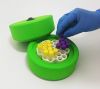 Coolcell Cell Freezing...