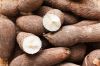 Fresh Cassava Root