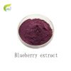 100% natural Blueberry powder extract