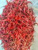 DRY RED CHILLY