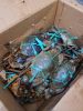 LIVE MUD CRABS