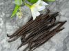 PLANIFOLIA VANILLA EXT...