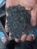 charcoal palm kernel s...