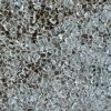 PMMA granules, PMMA plastic raw material, engineering plastic material