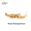 Natural Panax Ginseng Extract Ginseng Root Extract 1%-80% Ginsenoside