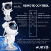 Astronaut Galaxy Proje...