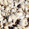 Cup Lump Origin Viet N...