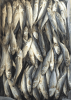 Dried Salted Mackarel