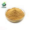 peptone powder 99% Soy Peptone CAS 91079-46-8 bulk peptone