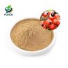 Health Supplement Weight Loss Natural Guarana Seed Extract Powder Guarana Extract